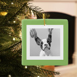 Ornement En Céramique Photo Chien moderne Vert Simple Beau Cadeau<br><div class="desc">Photo Chien moderne Vert Simple Beau Cadeau</div>