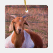 Ornement En Céramique Photo de chèvre (Devant)