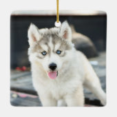 Ornement En Céramique Photo de Noël de chien (Dos)