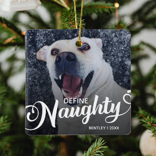 Ornement En Céramique Photo de Noël drôle de chien de compagnie