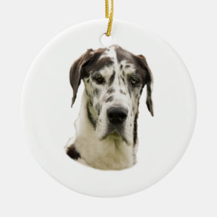 Ornement En Céramique Photo de portrait de Halequin great dane