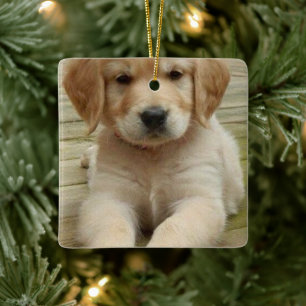 Ornement En Céramique Photo double personnalisée photo photo image Noël