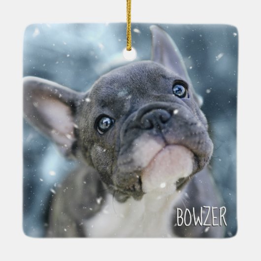 Ornement En Céramique Photo personnalisée du meilleur chien ou chiot Nom (Dos)