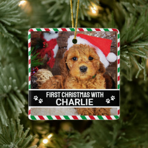 Ornement En Céramique Photo personnalisée du premier chien de Noël