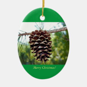 Ornement En Céramique Photo Pinecone