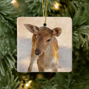 Ornement En Céramique Photographie de cerfs fantaisistes de la forêt