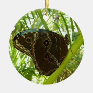 Ornement En Céramique Photographie de la nature du papillon Morpho bleu