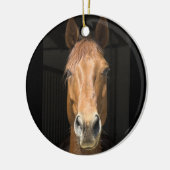 Ornement En Céramique Photographie de visage de cheval (Gauche)