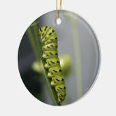 Ornement En Céramique Pilière à queue noire (chenille) sur Dil (Gauche)