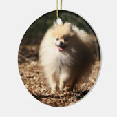Ornement En Céramique Pomeranian trottant dans le feuille tombé (Gauche)