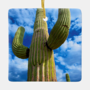 Ornement En Céramique Portrait de cactus saguaro, Arizona