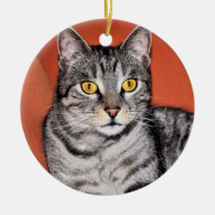 Ornement En Céramique Portrait de chat gris mou