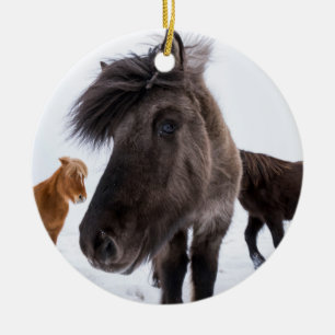 Ornement En Céramique Portrait de cheval islandais, Islande