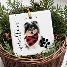 Portrait de chien chat animal de compagnie personn