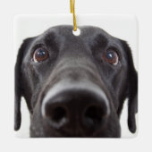 Ornement En Céramique Portrait de fermeture Black Labrador (Devant)