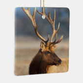 Ornement En Céramique Portrait d'un bull (Droite)