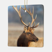 Ornement En Céramique Portrait d'un bull (Gauche)