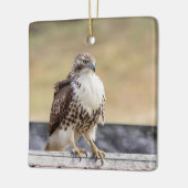 Ornement En Céramique Portrait d'un Hawk à queue rouge immature (Gauche)