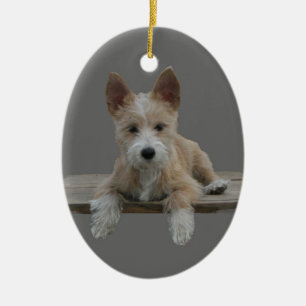 Ornement En Céramique Portugais Podengo Pequeno de fil