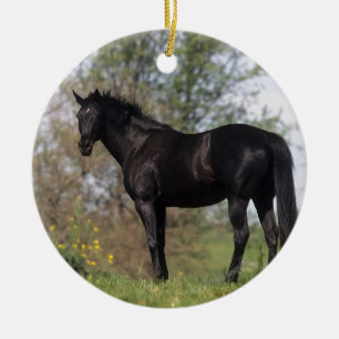 Ornement En Céramique Position de cheval de pur sang
