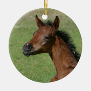 Ornement En Céramique Poulain arabe se reposant