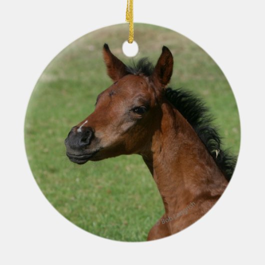 Ornement En Céramique Poulain arabe se reposant (Dos)