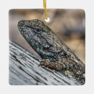 Ornement En Céramique Prairie Lizard