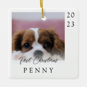 Ornement En Céramique Première Noël Nouveau Chiot Photo Keepsaké