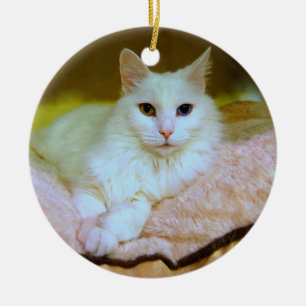 Ornement En Céramique Princesse angora turque Cat Ornament