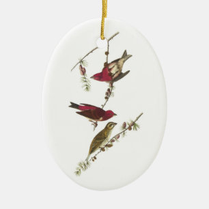 Ornement En Céramique Purple Finch par Audubon