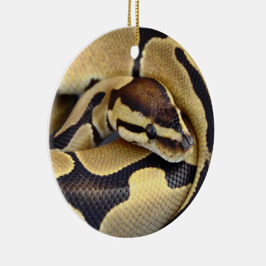 Ornement En Céramique Python jaune et noir 3 de boule (Droite)