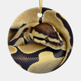 Ornement En Céramique Python jaune et noir 3 de boule