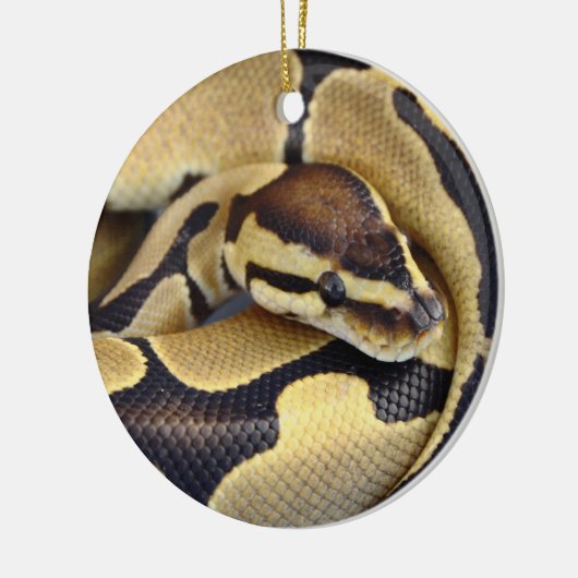 Ornement En Céramique Python jaune et noir 3 de boule (Gauche)