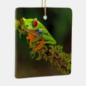 Ornement En Céramique Red Eyed Tree Frog Photo (Droite)