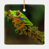 Ornement En Céramique Red Eyed Tree Frog Photo (Dos)