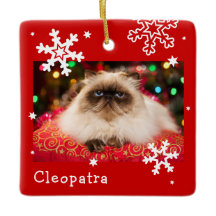 Red Holiday Pet Photo Flèche de neige