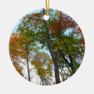 Ornement En Céramique Regard sur les feuilles d'automne I Colorful Fall