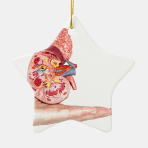 Ornement En Céramique Remettez montrer le modèle avec à l'intérieur de