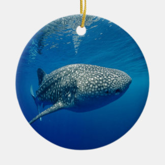 Ornement En Céramique Requin baleine