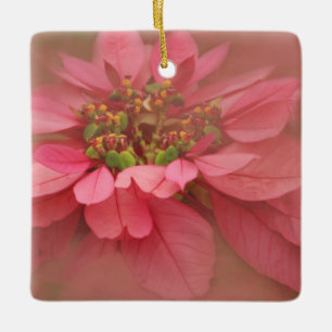 Ornement En Céramique Rose Blush Poinsettias Art numérique