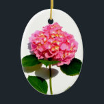 Ornement En Céramique Rose Hydrangea rose fleur rose rose floral<br><div class="desc">Romantique élégant rose hydrangea - photo de H Cooper</div>