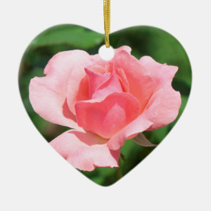 Ornement En Céramique Rose pâle