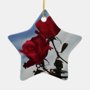 Ornement En Céramique Roses rouges contre un ciel bleu vif
