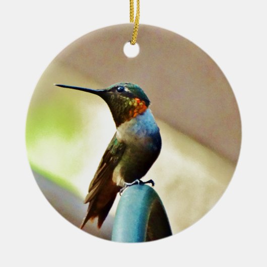 Ornement En Céramique Ruby perché et petit colibri vert (Devant)