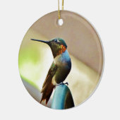 Ornement En Céramique Ruby perché et petit colibri vert (Gauche)