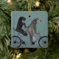 Schnauzer Tandem