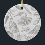 Ornement En Céramique Seashell Soft Antique Art Beach Shops<br><div class="desc">Beach Seashell Classic Elegant Shell Art - Un thème de plage avec des oeuvres d'art de coquillages vintages.</div>