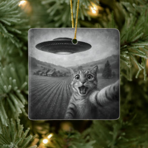 Ornement En Céramique Selfie De Chat Avec Alien UFO Drôle Cadeaux De Cha
