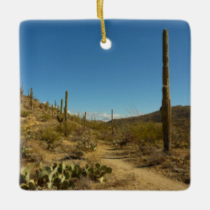 Ornement En Céramique Sentier Carillo du Saguaro dans le parc national d