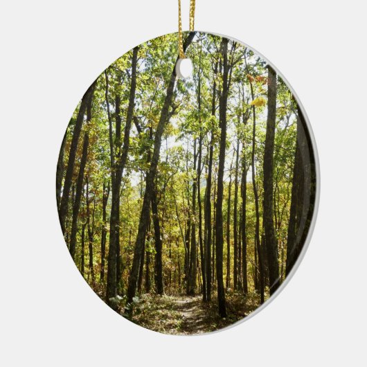 Ornement En Céramique Sentier des Appalaches en octobre à Shenandoah (Gauche)